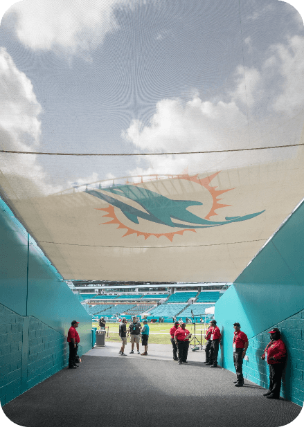 Dolphins-04611