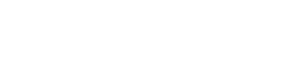 nec-logo-white