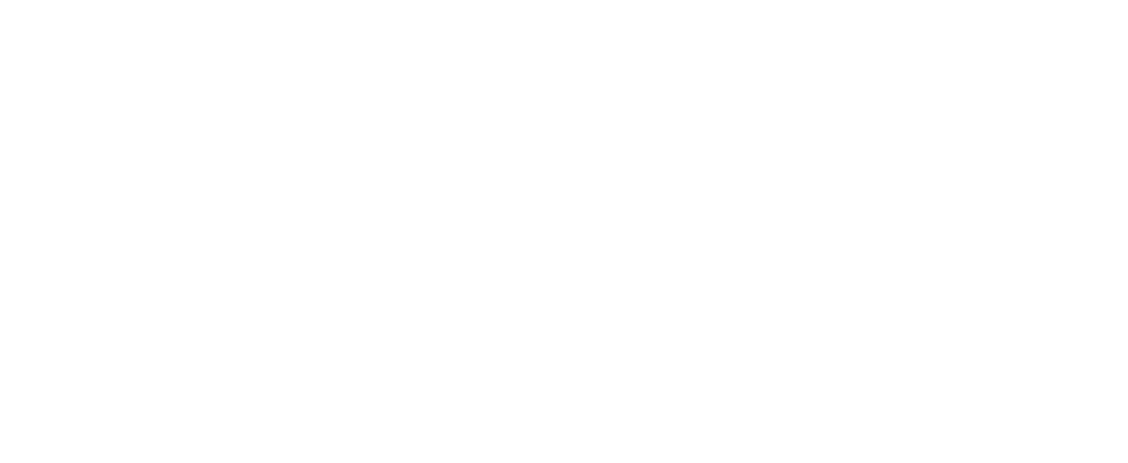 5_Levis_Stadium_Logo_2