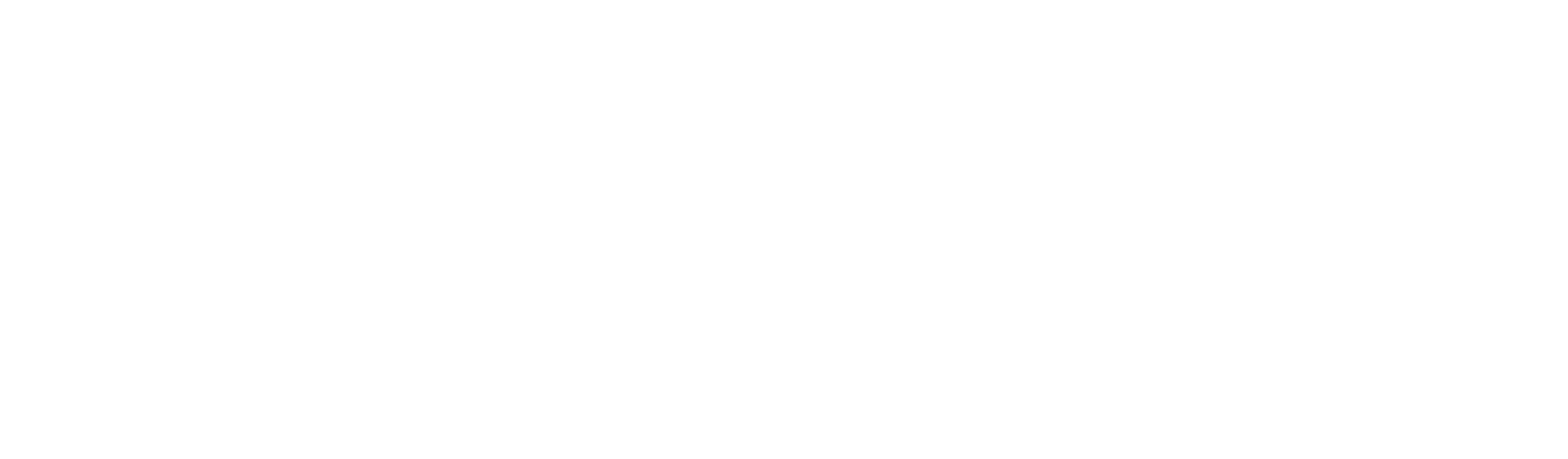 Flinders_University_Logo_Horizontal_WHITE-1