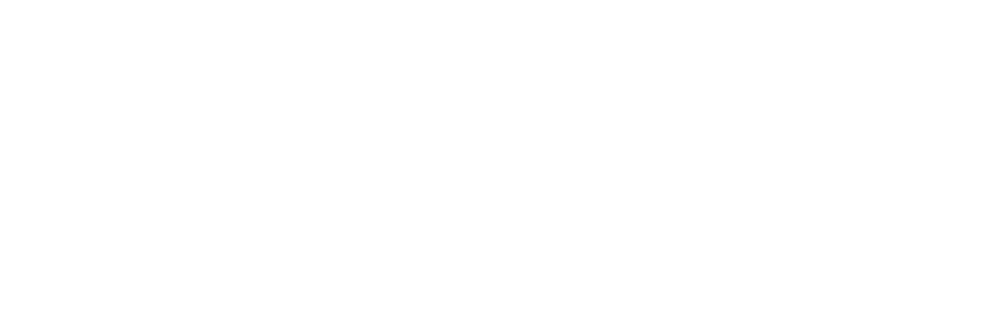 Flinders_University_Logo_Horizontal_WHITE_v2