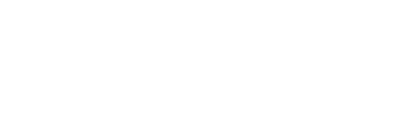 The University of Texas Logo