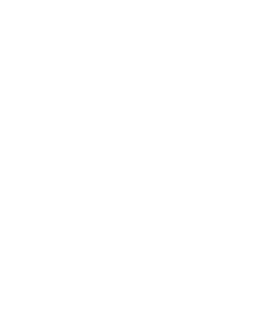 logo-celtics-white